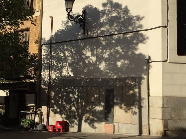 'To talk about trees', de Sara Agudo Millan 'To talk about trees', de Sara Agudo Millan