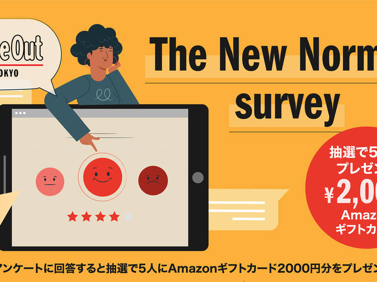 New Normal Survey