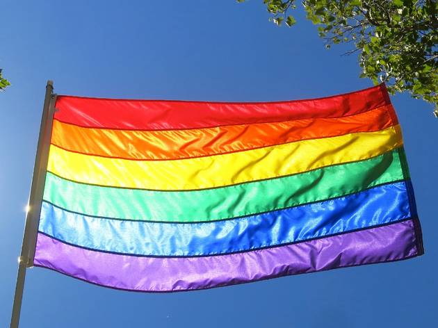 Bandeira LGBT LGBT+, Bandeira