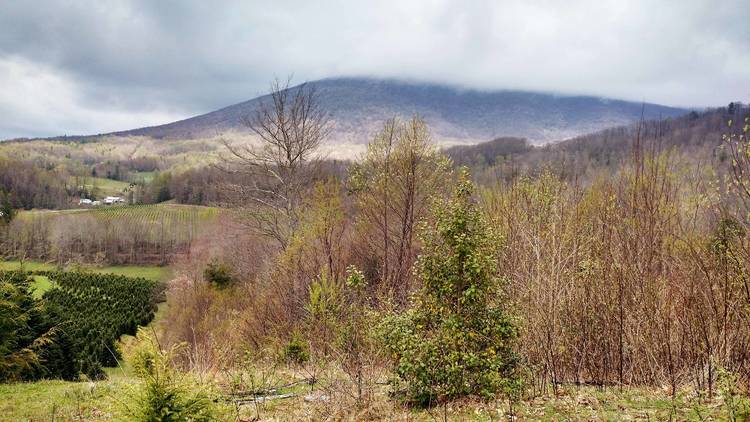 Virginia Creeper Trail | Damascus, VA