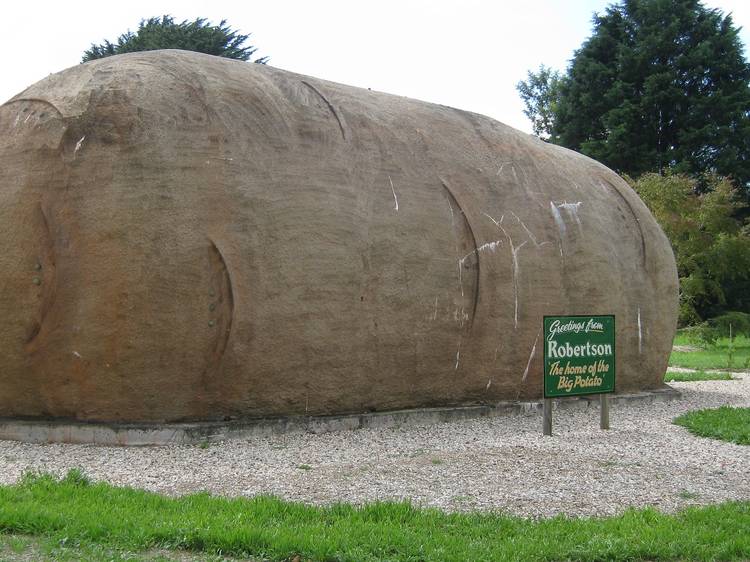 The Big Potato