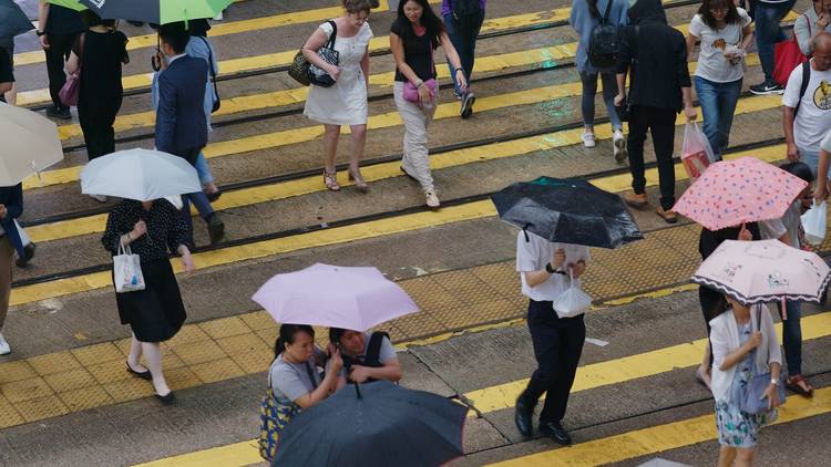 Umbrellas