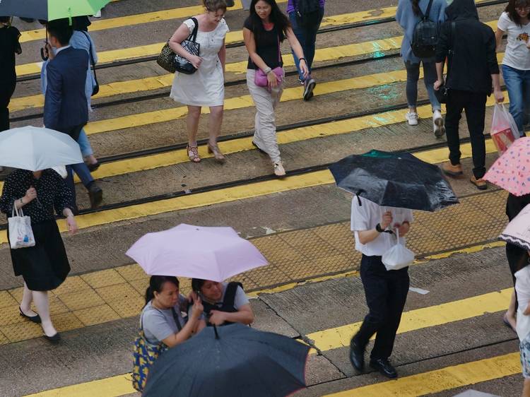 Umbrellas