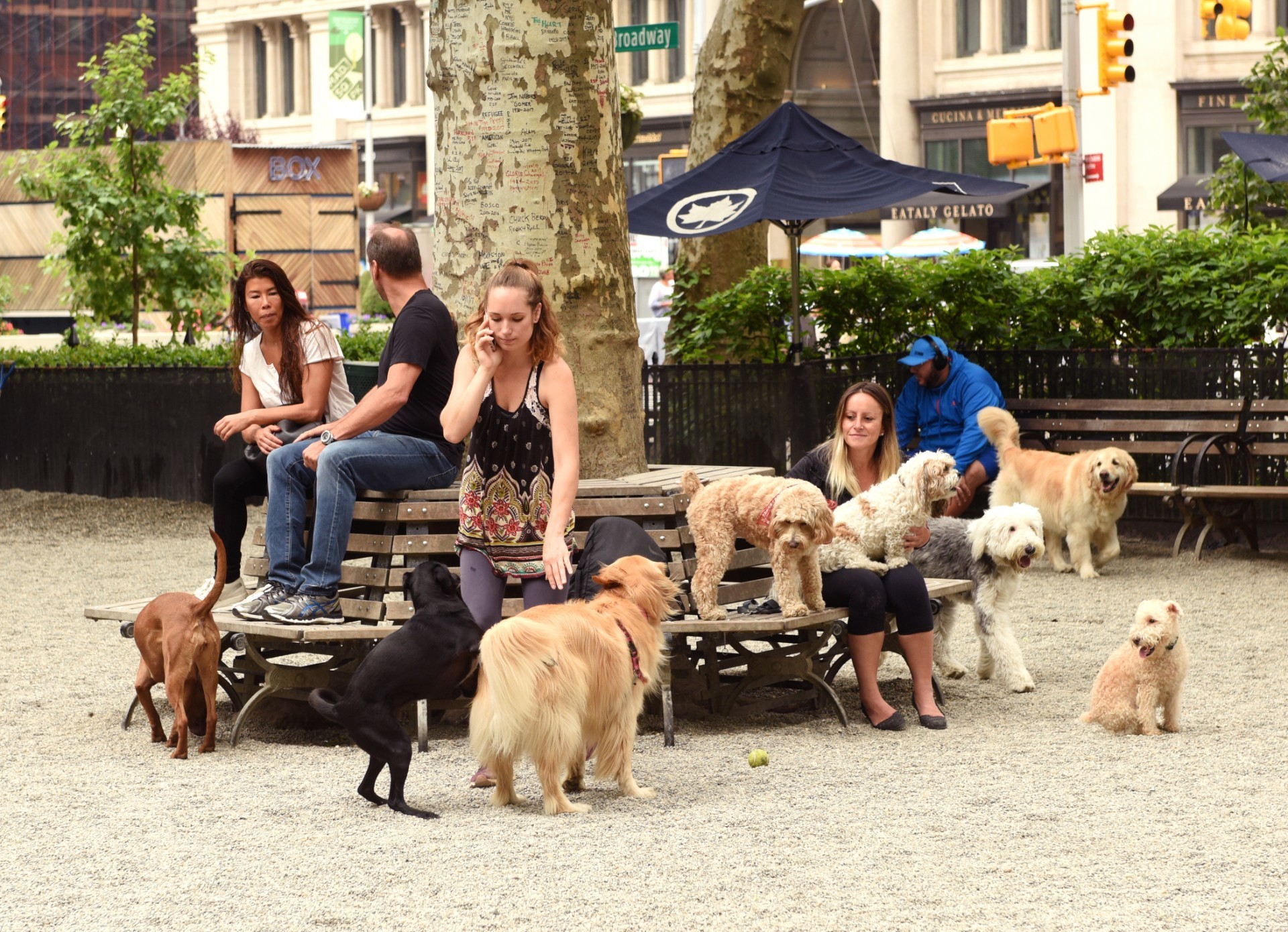 are dogs allowed in battery park