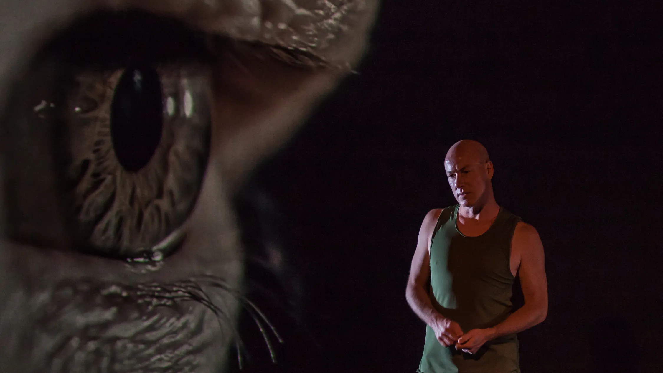 Blood on the dance floor 2