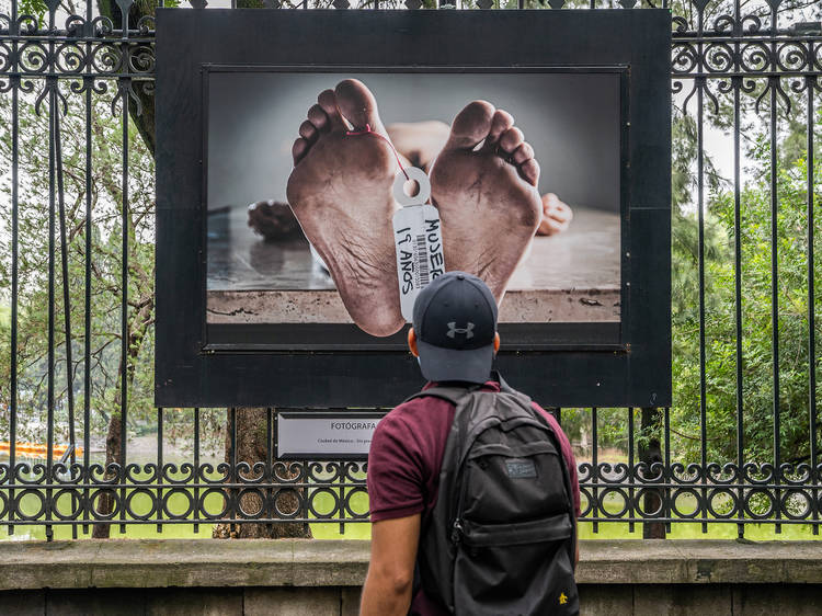 Exposiciones al aire libre en la Ciudad de México