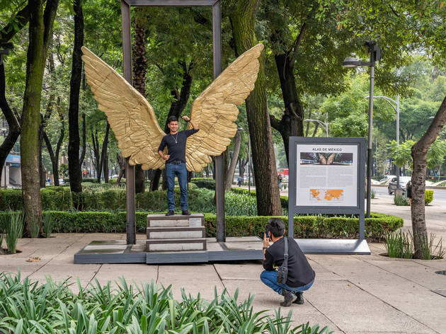 Alas de México Alas de México