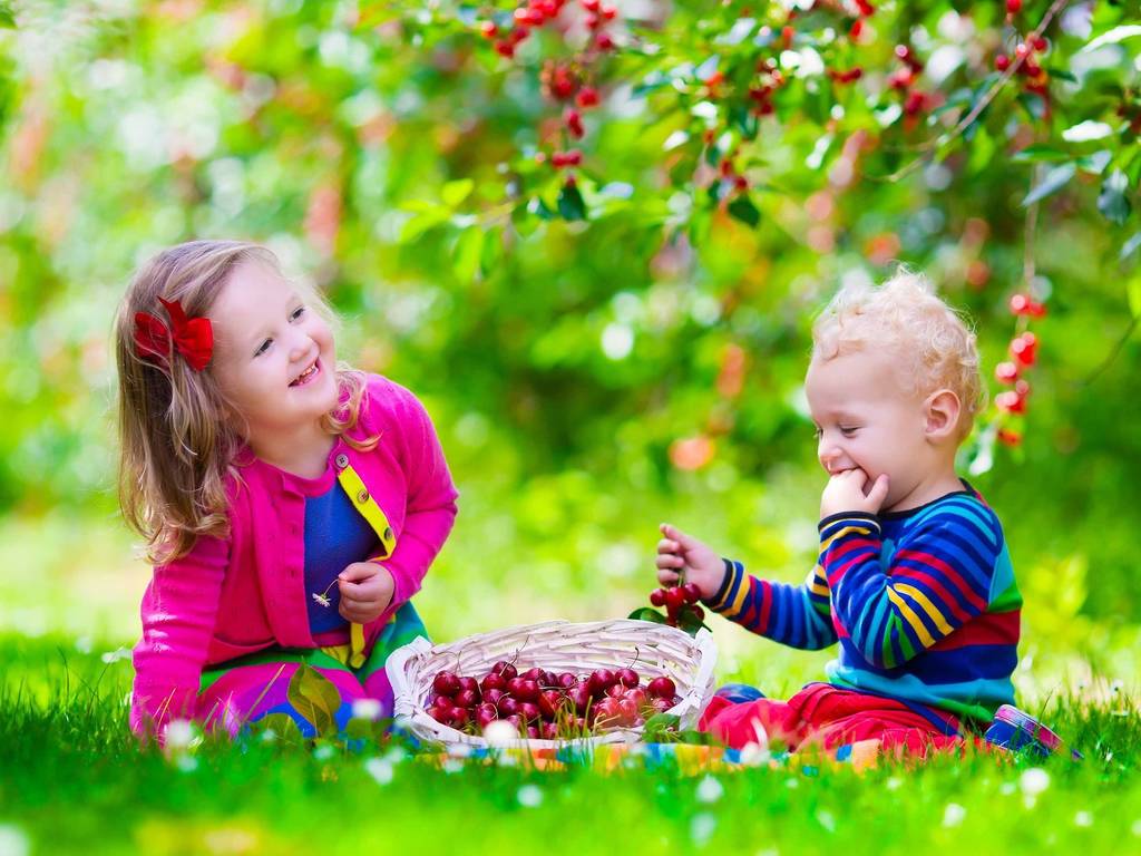 10 Best Farms to Visit During Cherry Picking Season in New York