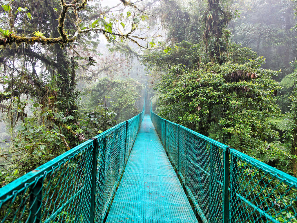 Where Can I Travel Right Now and Can I Go on Holiday Yet?