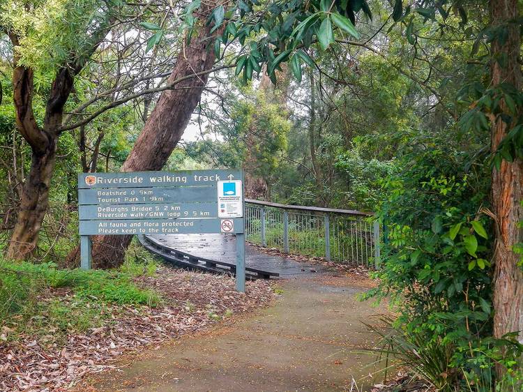 Lane Cove National Park