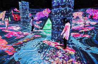 In photos: see the new teamLab exhibition opening in Fukuoka this month