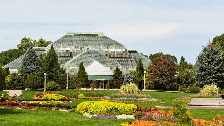 Roam the gardens at Garfield Park Conservatory