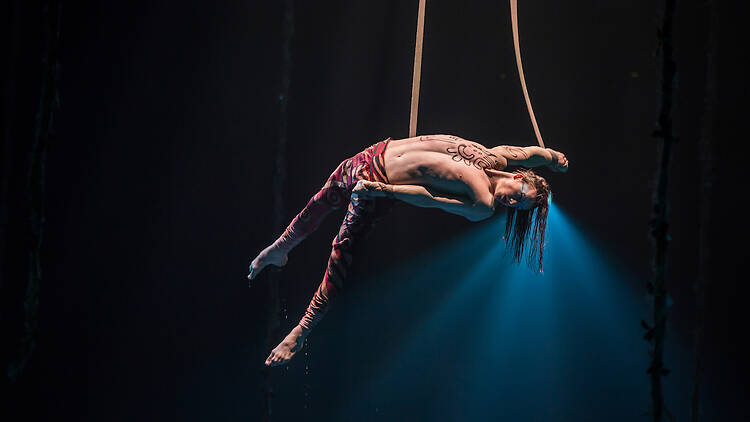 Strap aerislism act in Cirque du Soleil's Luzia
