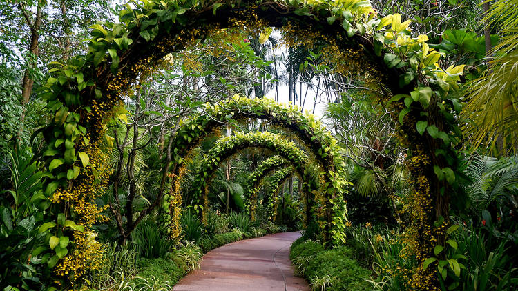 Singapore Botanic Gardens