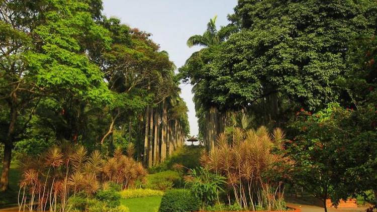 Ang Mo Kio Town Garden West