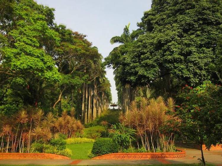 Ang Mo Kio Town Garden