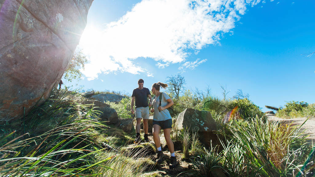 These are the 9 best easy hikes near Sydney