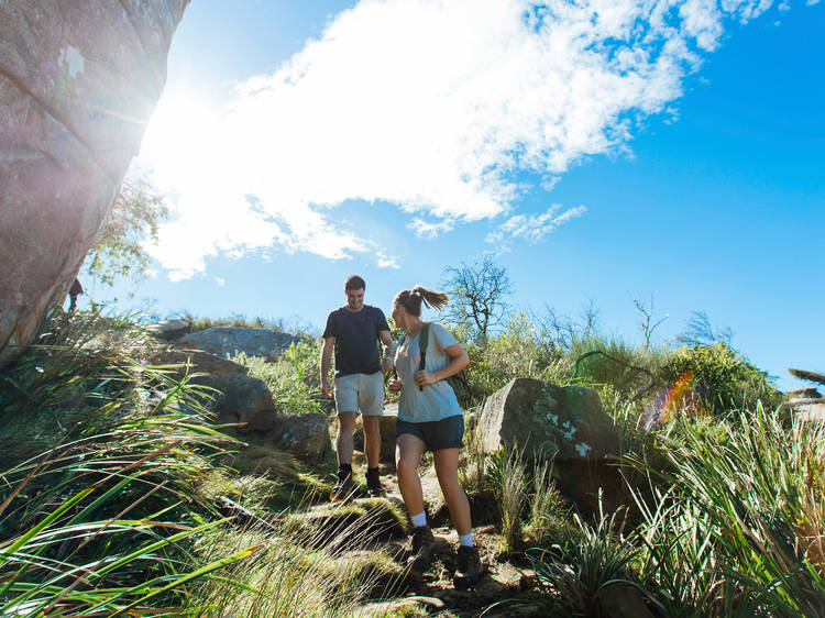 Take a stroll on one of Sydney's easiest and prettiest day hikes