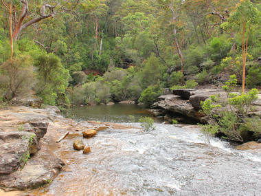 These are the 9 best easy hikes near Sydney