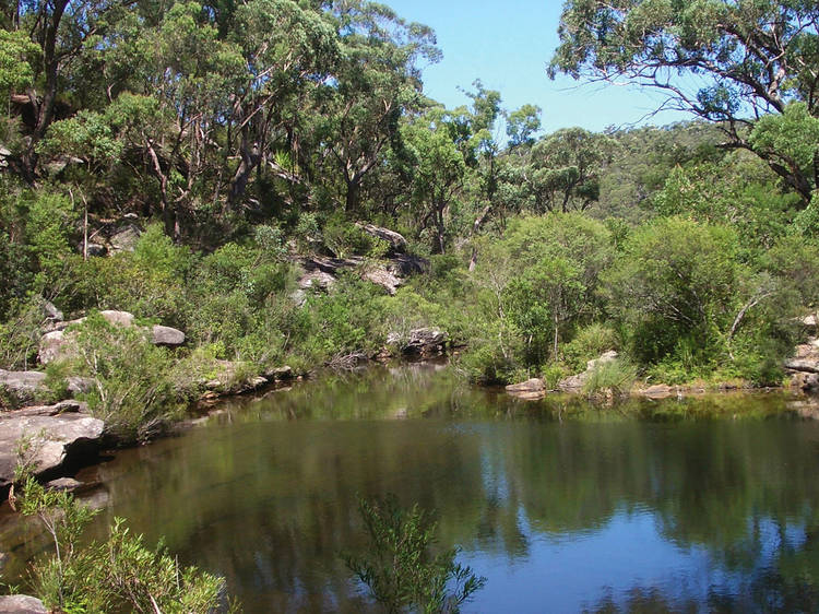 Karloo Walking Track