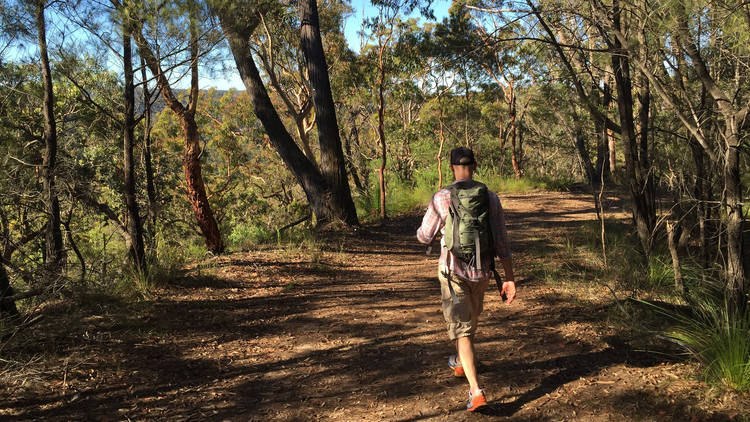 Perimetre Trail to Wilkins Lookout