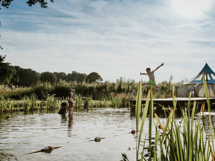 Moat Island Glamping, Norfolk