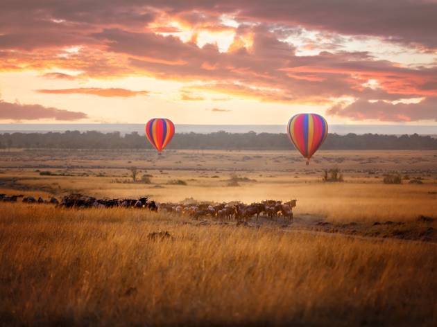 Kenya Kenya