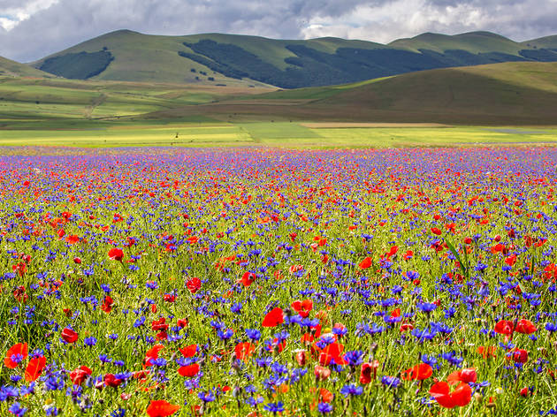Castelluccio Castelluccio