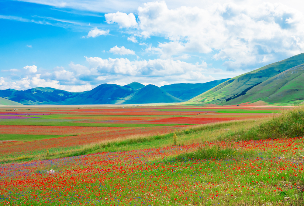 Castelluccio