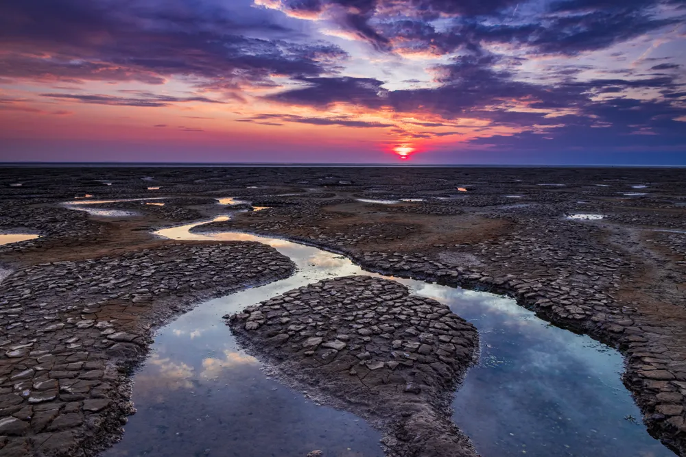 Snettisham