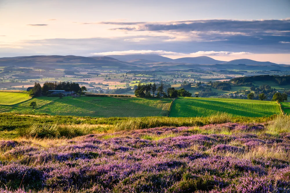 Rothbury