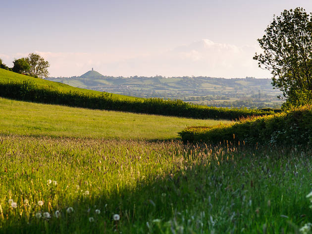 glastonbury glastonbury