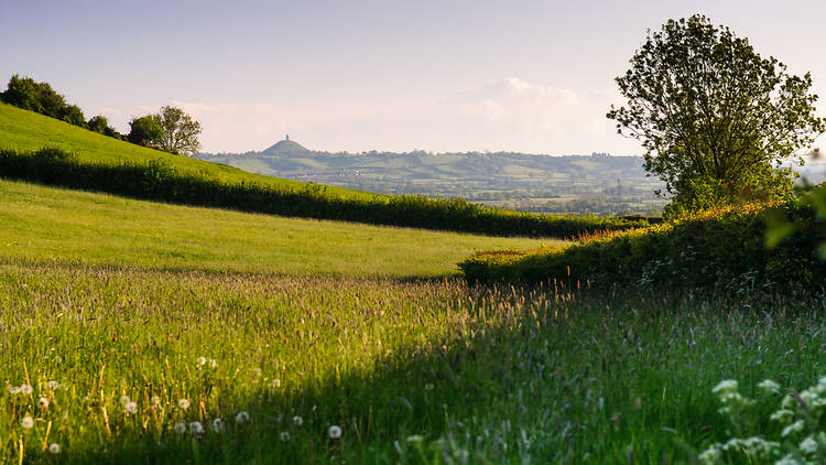 glastonbury