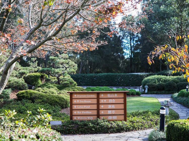 Find inner peace in a Japanese garden