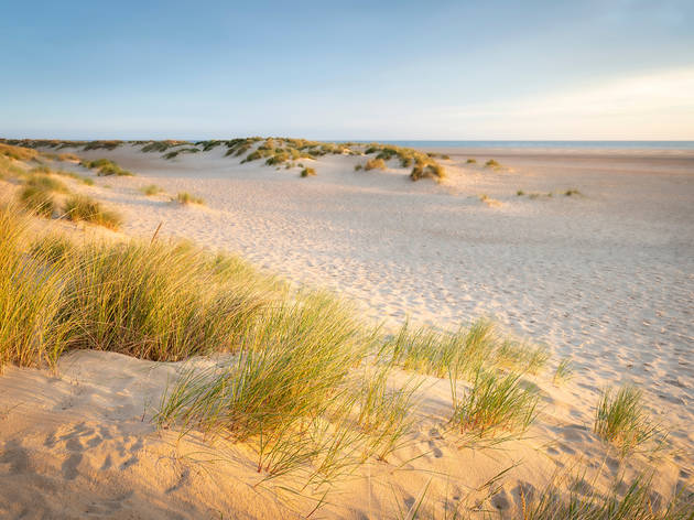 Holkham beach 