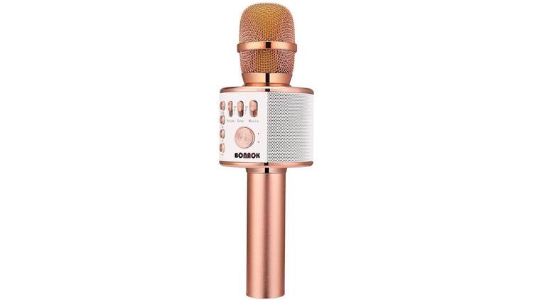 Karaoke microphone