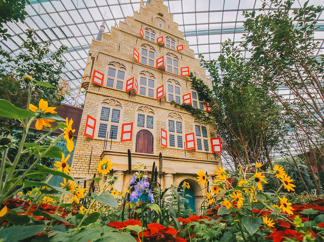 flower dome flower dome