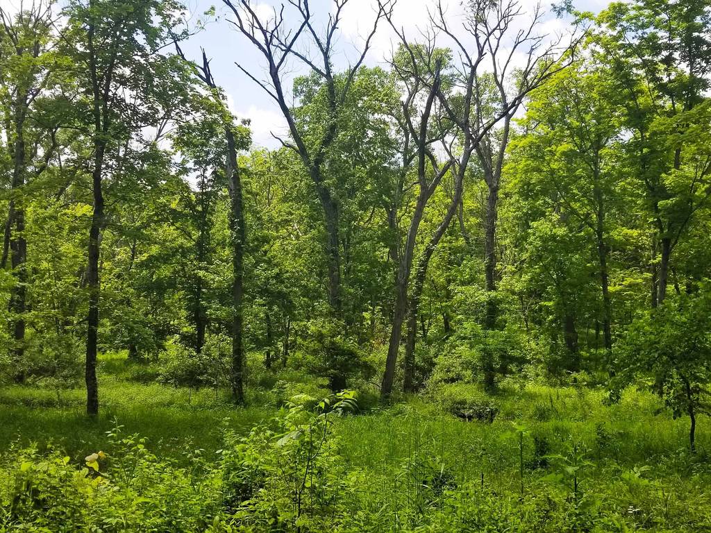 22 Best Places for Hiking Near Chicago in 2022