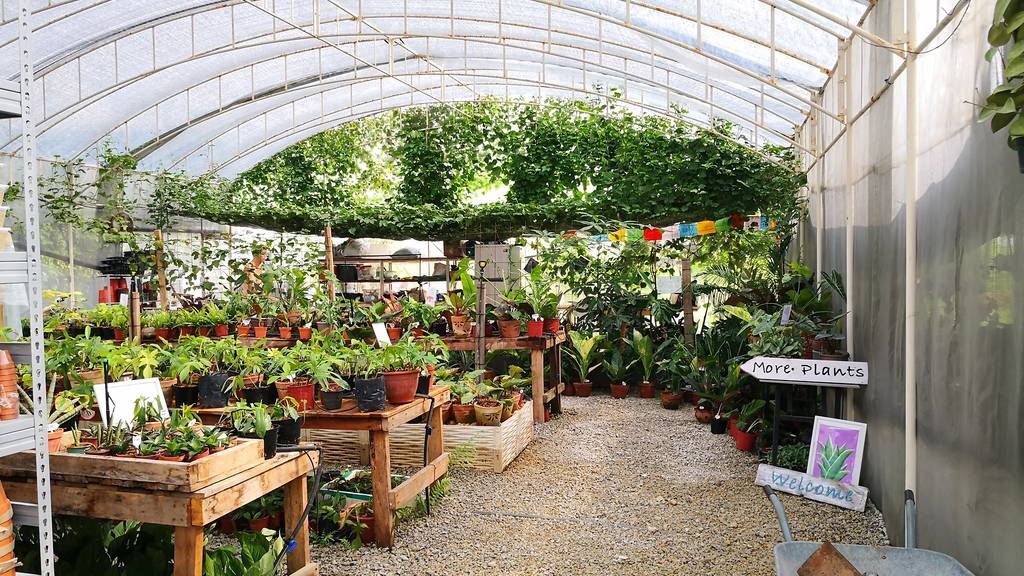 House of Plants Attractions in Punggol, Singapore