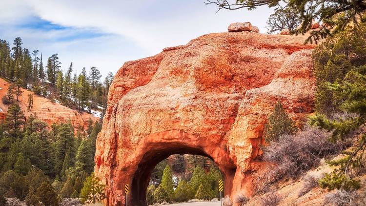 Dixie National Forest, UT