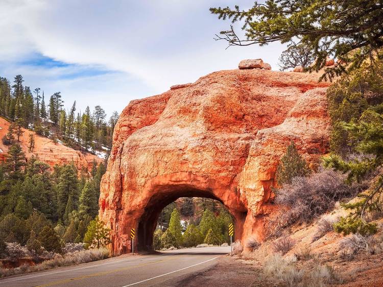 Dixie National Forest, UT