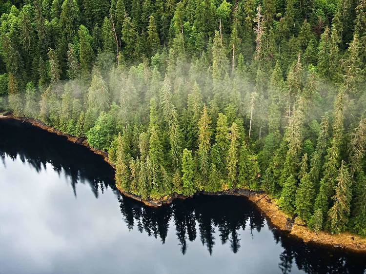 Tongass National Forest, AK