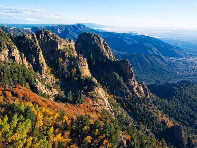 Cibola National Forest, NM