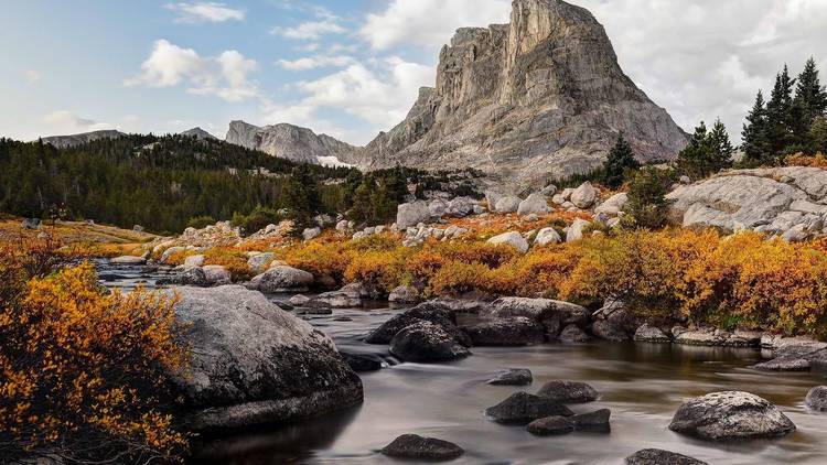 Bridger National Forest, Wyoming 