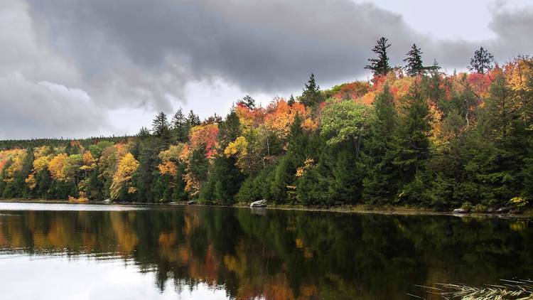 Vermont: Hit up Green Mountain National Forest