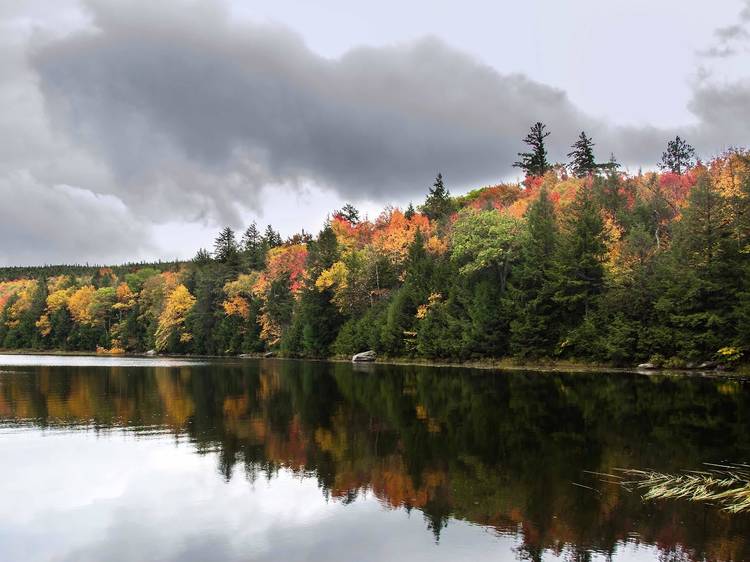 Dog Mountain in Saint Johnsbury, Vermont