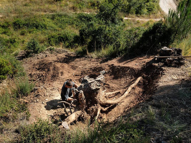 LandArt: há arte para ser contemplada na natureza em Cascais LandArt
