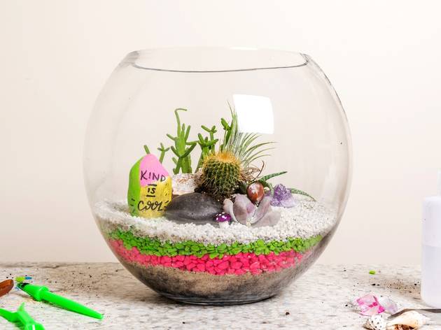 This Succulent And Cacti Delivery Service Will Send Diy Terrarium Kits To Your Door