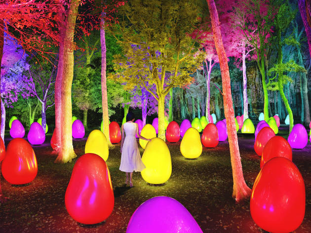 teamlab tokorozawa teamlab tokorozawa