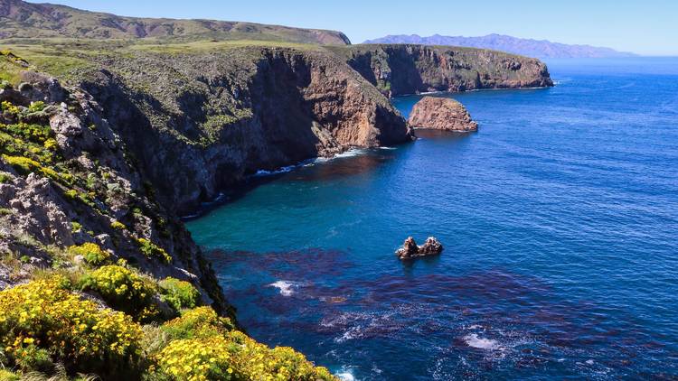 Channel Islands National Park